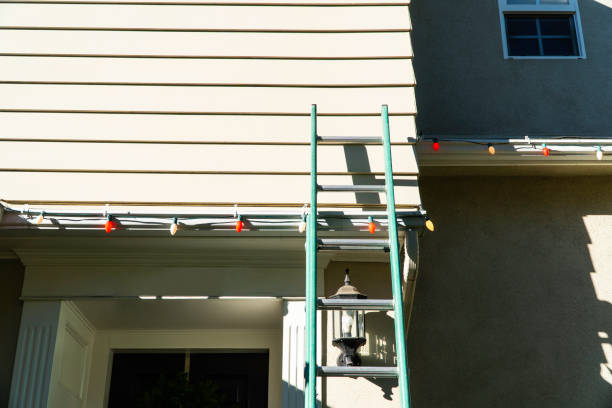 Best Residential Vinyl Siding Installation  in Plainwell, MI