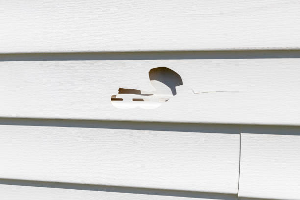 Best Storm Damage Siding Repair  in Plainwell, MI